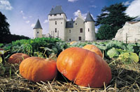 Ch�teau du Rivau