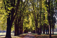 Parc de Richelieu