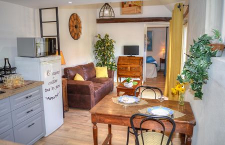 Gîte n°37G24169 Druye - Indre-et-Loire - photo
