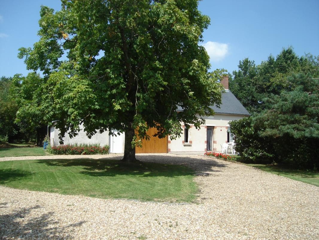 photo 0