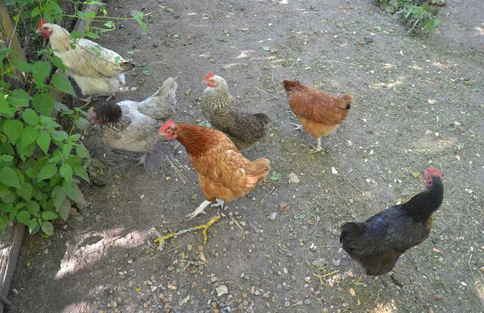 photo 17