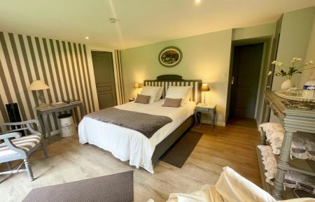 Chambre d'h&ocirc;tes n&deg;37G30321 Neuill&eacute;-Pont-Pierre - Indre-et-Loire - photo