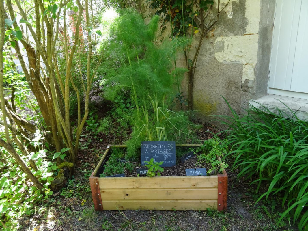photo 75