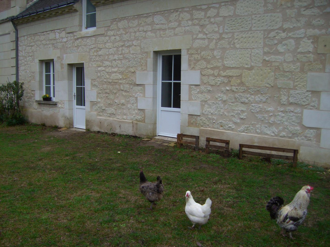 photo 35