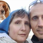 David et Carole